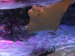 -沈阳海洋探索中心