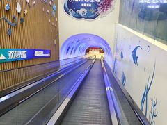 -常州海昌海洋探索馆