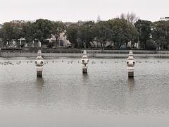 -葛仙湖公园