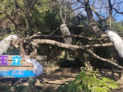 -宁波野生动物园