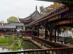 -江湾神木园