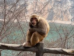 -白帝城·瞿塘峡景区