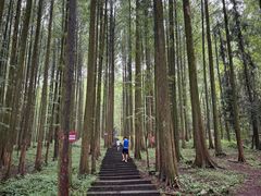 -武陵山森林公园