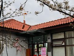 -高东镇樱花园