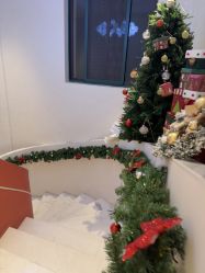 -WENDY·温迪皮肤管理