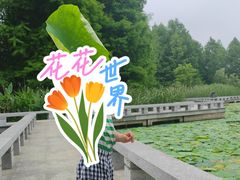 -白塘生态植物园