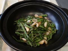 -食家鸽园