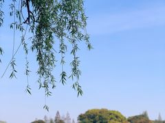 -尚湖风景区