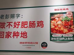 -晓彭肥肠鸡·泡椒鸡火锅(水木天地店)