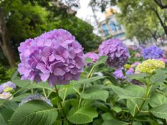 -常州古运河南大街文化旅游区-人民公园