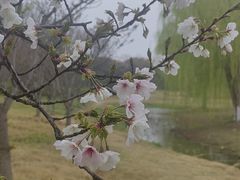-品鲜村农家菜·阳澄湖大闸蟹(总店)