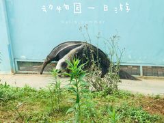 -无锡动物园·太湖欢乐园