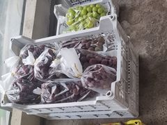 -马陆小张葡萄园农家乐