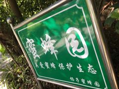 -深圳仙湖植物园