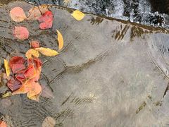 -径山寺