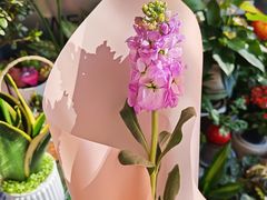 -FEI FEI FLOWER鲜花店·气球派对·宝宝宴布置(虹口德必运动Loft店)