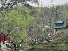 -岳麓山风景名胜区