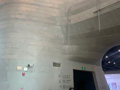 -证大喜玛拉雅中心