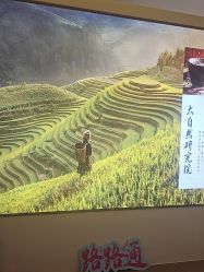 -头道汤头疗养生馆