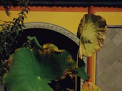 -南京市江宁方山