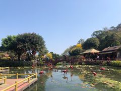 -广州莲花山旅游区