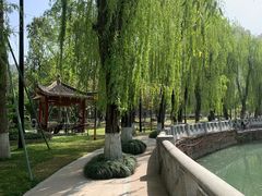 -温江公园