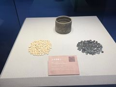 -邹城博物馆