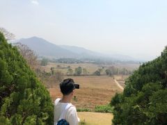 -黄色小屋
