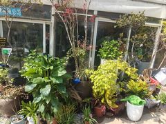 -金陵花卉交易市场