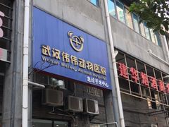 -伟伟宠物医院·CT影像中心·瑞派犬猫综合性门诊(汉口总院)