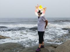 -金梦海湾浴场