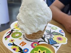 -野人先生Gelato(上海长宁龙之梦店)