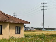 -杭州湾海上花田景区