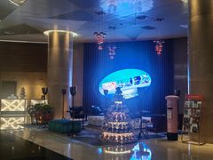 -南京禄口机场雅高铂尔曼大酒店