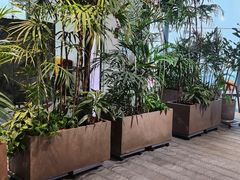 -大视光学•LINDBERG林德伯格•全球手工眼镜集合店(王府井店)