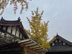-古大圣慈寺