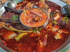 番茄鸳鸯锅-味当家鱼头火锅.•甲鱼料理(金沙店)