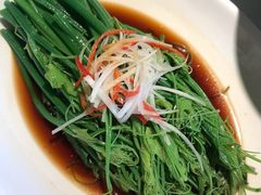 白灼瓜尖-初蓉丨遇见新川菜(亲贤街荣耀店)