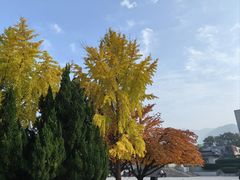 -四川泸州豆花饭店