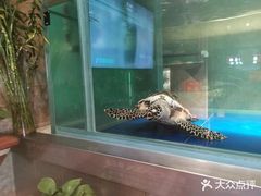 -160烧烤(香坊店)