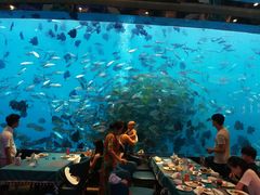 -瑞德姆美人鱼海底演艺主题餐厅(亚龙湾店)