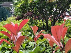 -上海旅游集散中心(万体站)