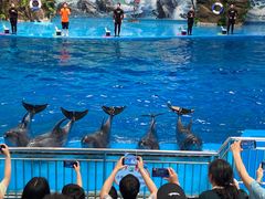 -多彩贵州城极地海洋世界