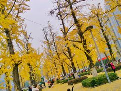 -百林公园-两江幸福广场