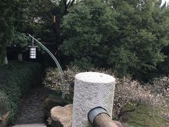 -白马涧龙池景区