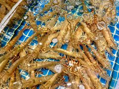 -三亚火车头万人海鲜广场