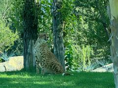 -北京野生动物园
