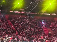 -俄罗斯国家大马戏团