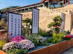 -北京十三陵国家森林公园蟒山景区