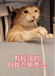 -胖哥俩肉蟹煲(虹口龙之梦店)